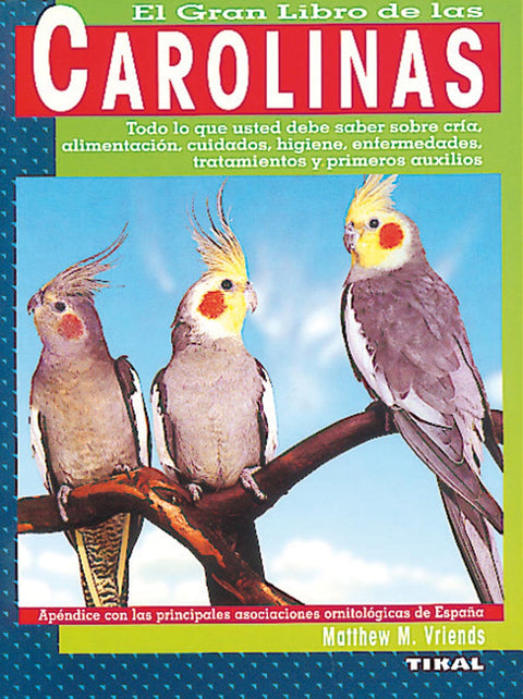  Carolinas 