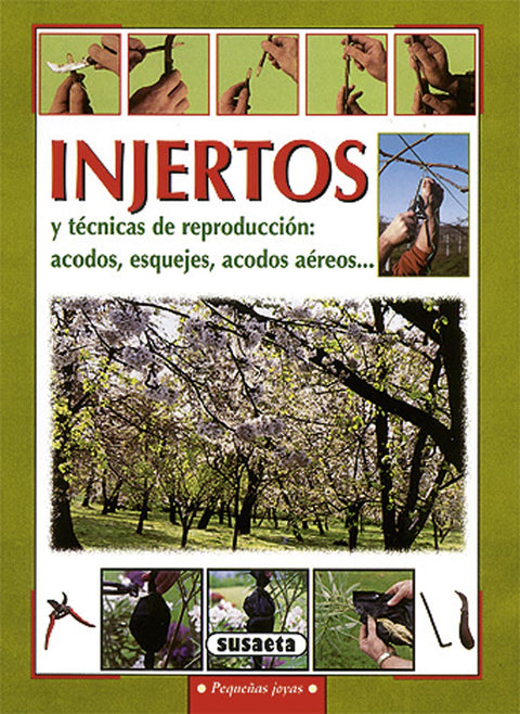  Injertos 