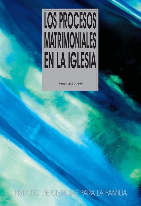  Los procesos matrimoniales en la iglesia 