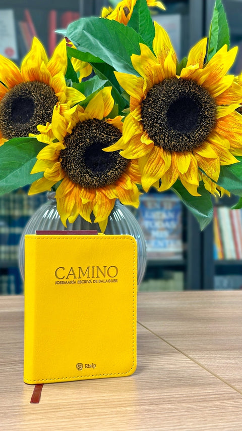  Camino (bolsillo, piel sintética) 