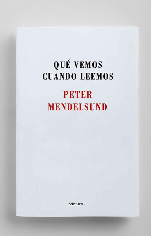  Qué vemos cuando leemos 
