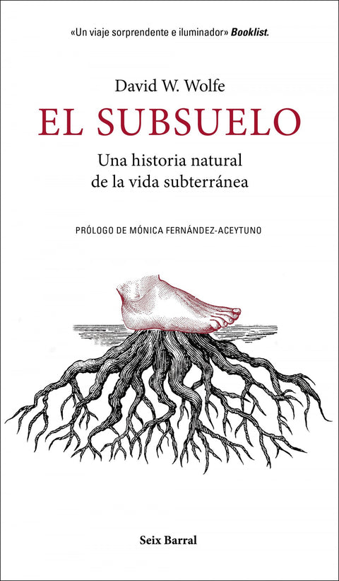  El subsuelo 