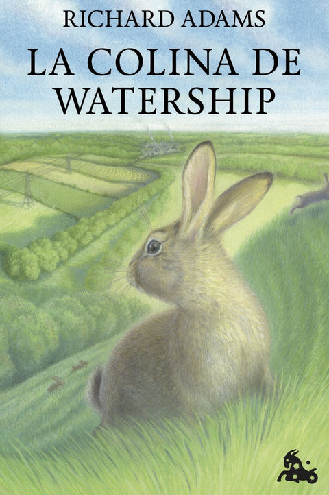  La colina de Watership 