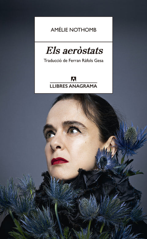 Els aeròstats 