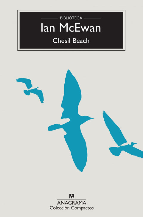  CHESIL BEACH 