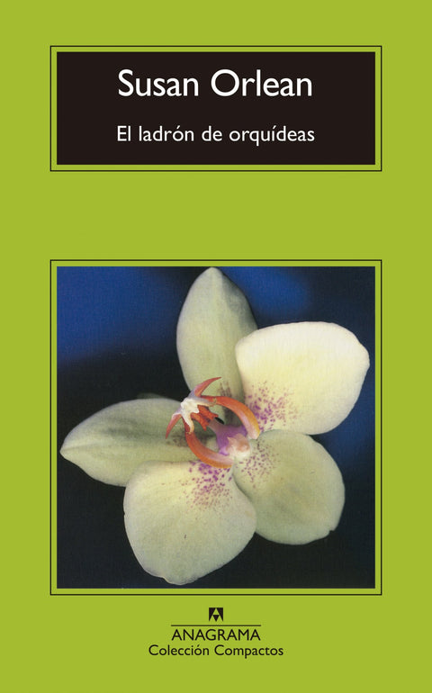  EL LADRÓN DE ORQUÍDEAS 