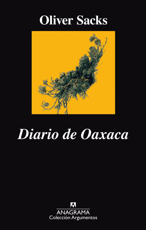  DIARIO DE OAXACA 