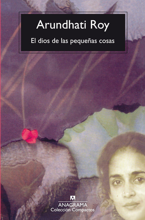  El Dios de las pequeñas cosas 
