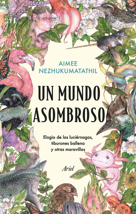  Un mundo asombroso 