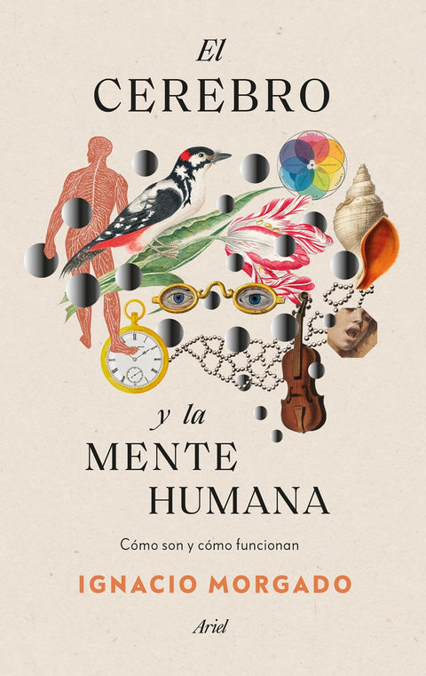  El cerebro y la mente humana 