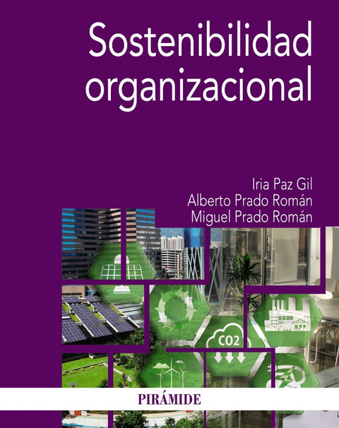  Sostenibilidad organizacional 