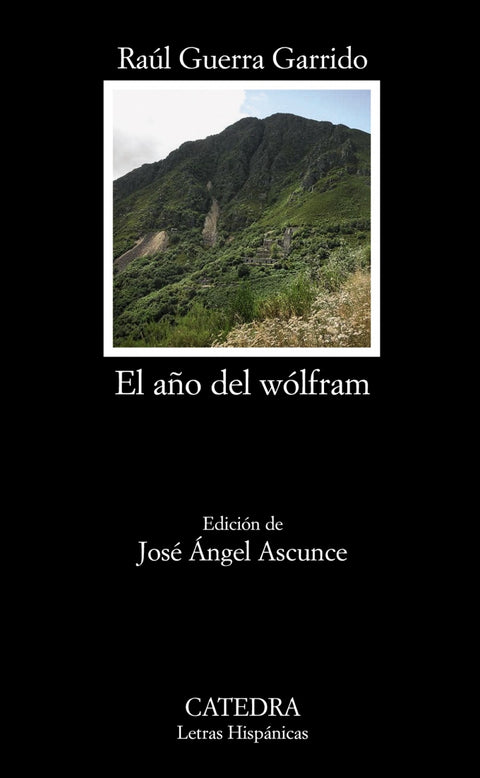  El año del wólfram 
