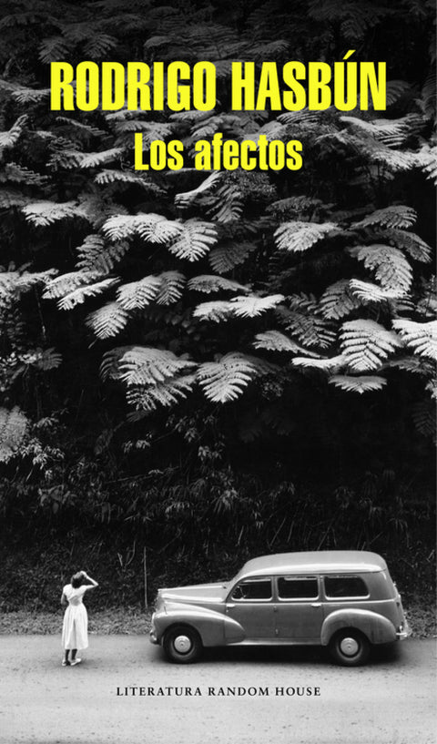  Los afectos 