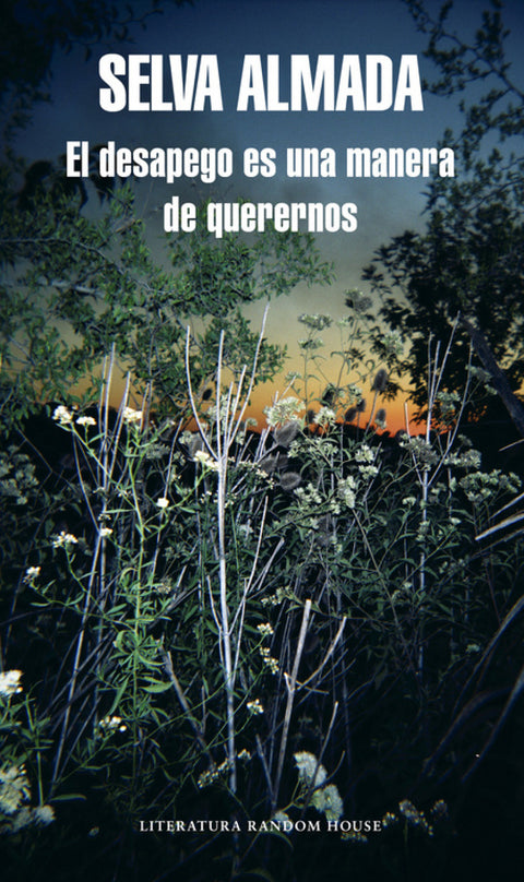  El desapego es una manera de querernos 