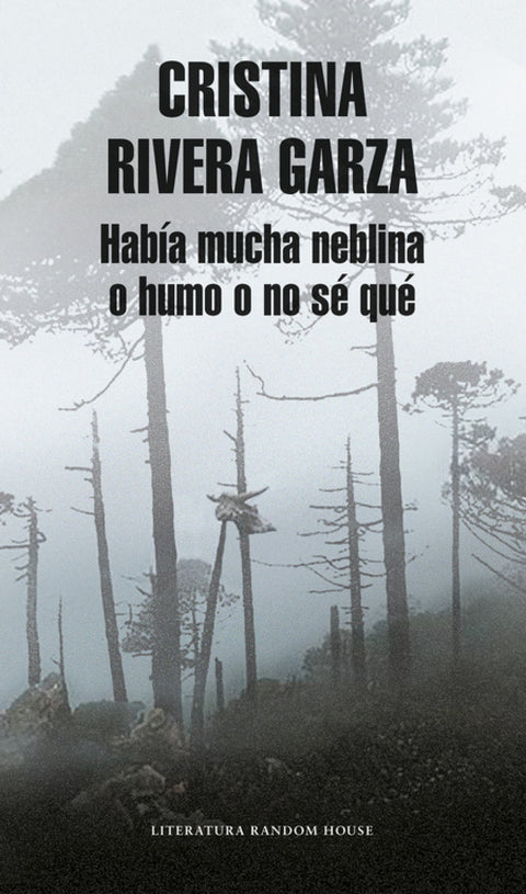  Había mucha neblina o humo o no sé qué 