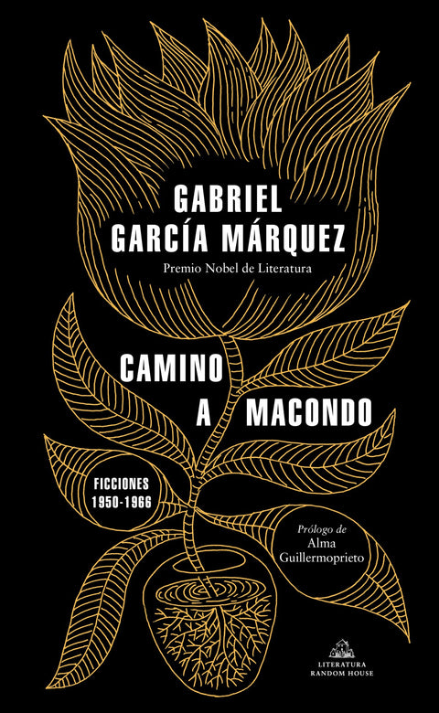  Camino a Macondo 