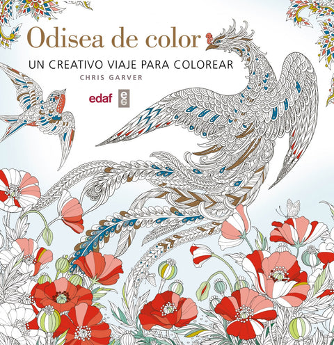  ODISEA DE COLOR 
