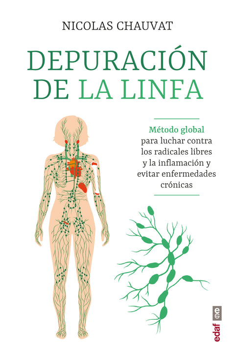  Depuración de la linfa 