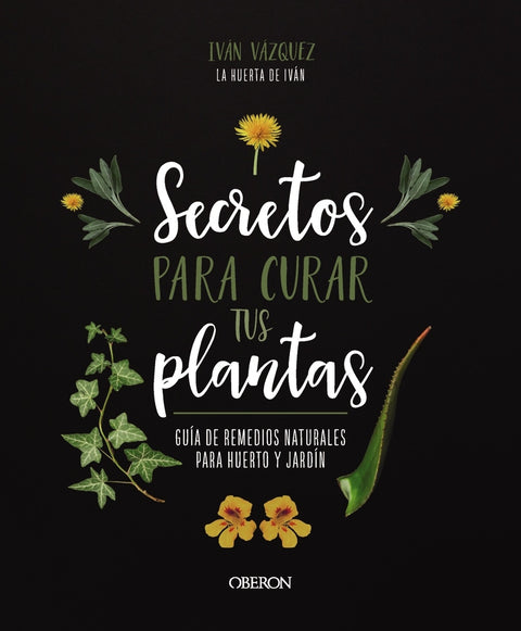  Secretos para curar tus plantas 
