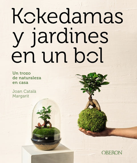  Kokedamas y jardines en un bol 