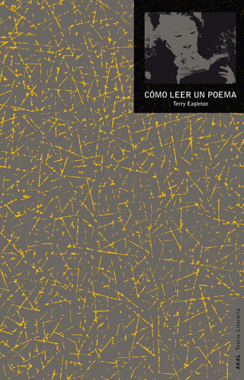  Cómo leer un poema 