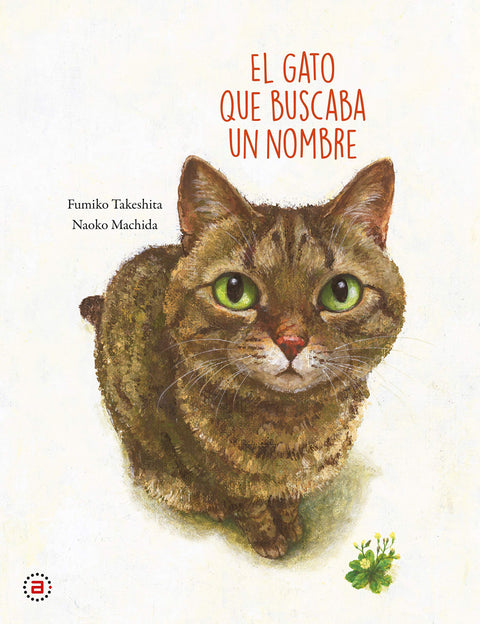  El gato que buscaba un nombre 