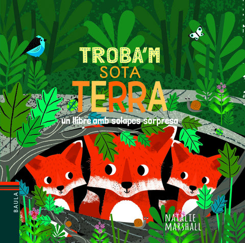  SOTA TERRA 