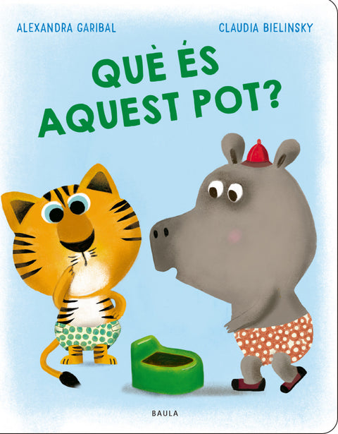  Què és aquest pot? 