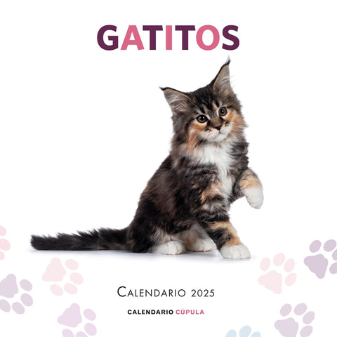  Calendario Gatitos 2025 