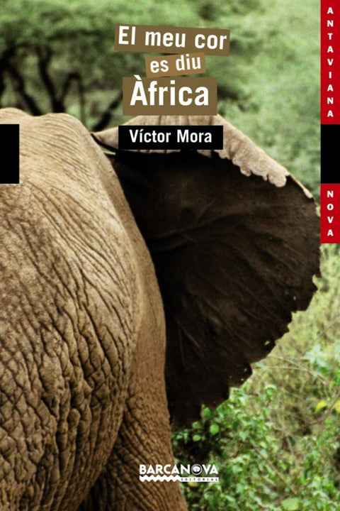  El meu cor es diu Àfrica 