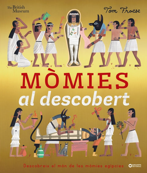  Mòmies al descobert 