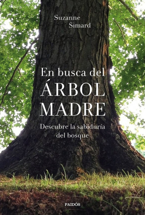  En busca del Árbol Madre 