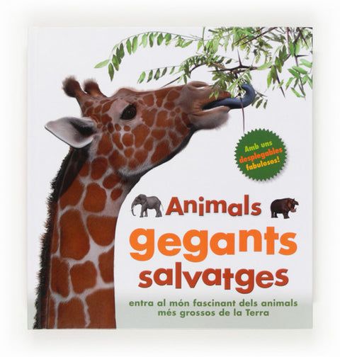  Animals gegants salvatges 