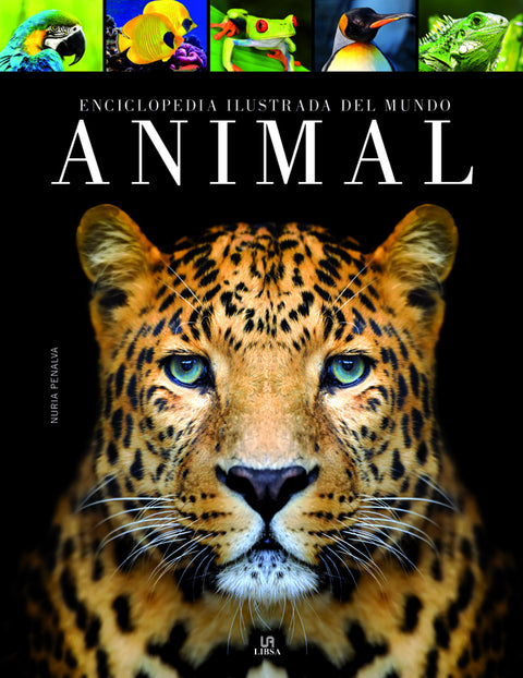  ENCICLOPEDIA ILUSTRADA DEL MUNDO ANIMAL 