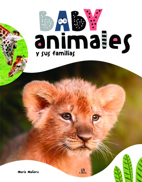  Baby Animales y sus Familias 