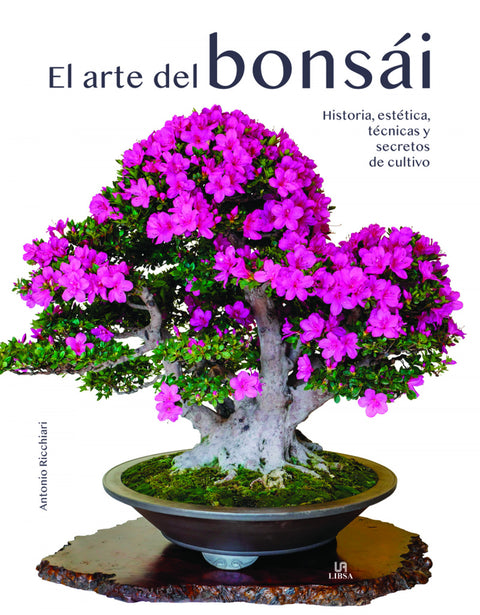  El Arte del Bonsái 