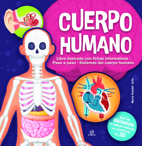  Cuerpo Humano 
