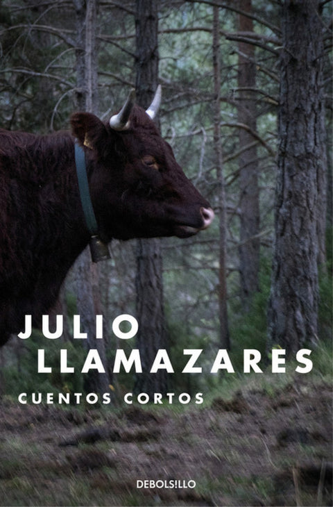  CUENTOS CORTOS 