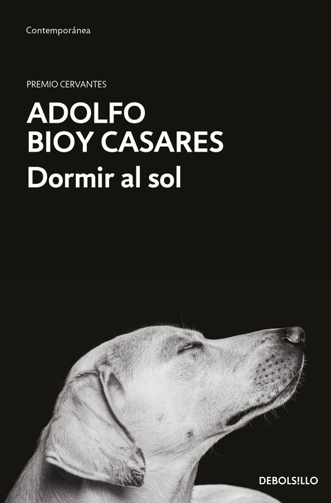  Dormir al sol 