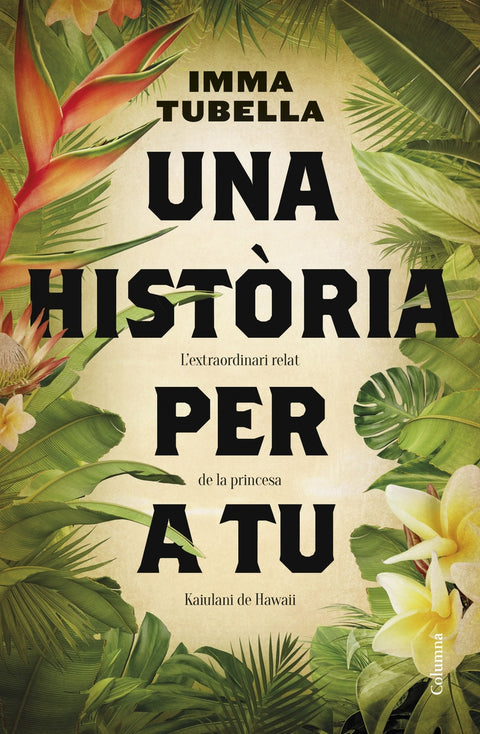  Una història per a tu 