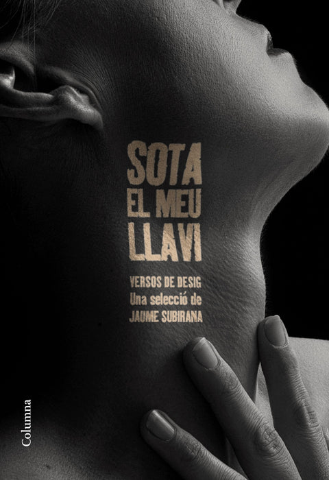  Sota el meu llavi 