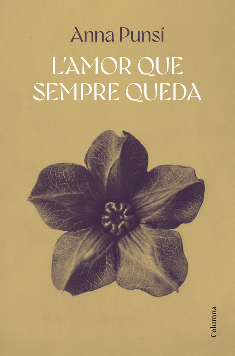  L'amor que sempre queda 