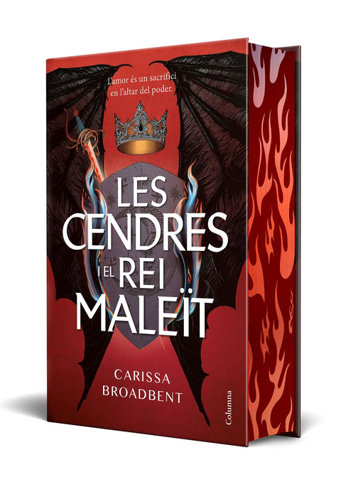  Les cendres i el rei maleït 