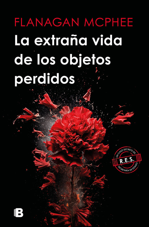  La extraña vida de los objetos perdidos 
