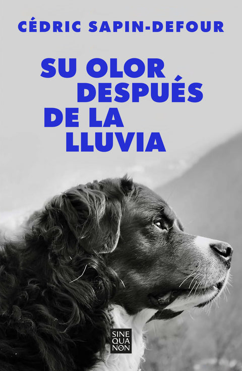  Su olor después de la lluvia 
