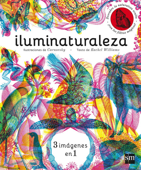  Iluminaturaleza 