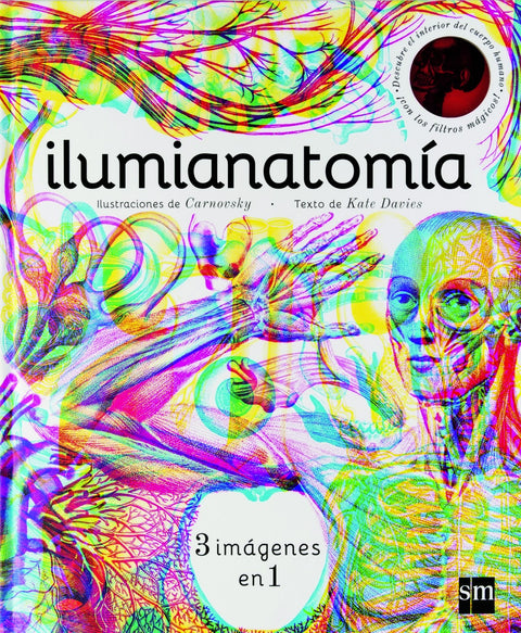  ILUMIANATOMÍA 