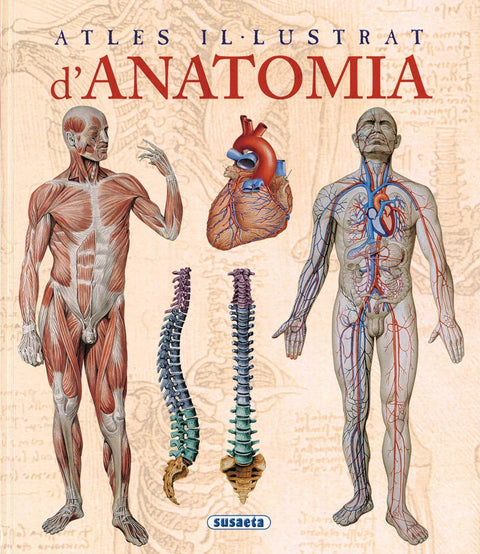  Atles il-lustrat d'anatomia 