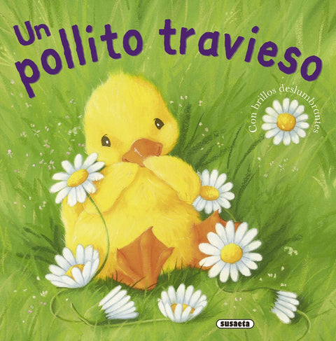  Un pollito travieso 