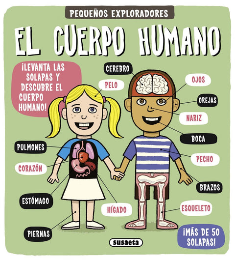  El cuerpo humano 